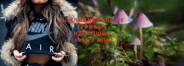 шишки Магадан