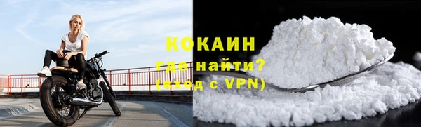 шишки Магадан