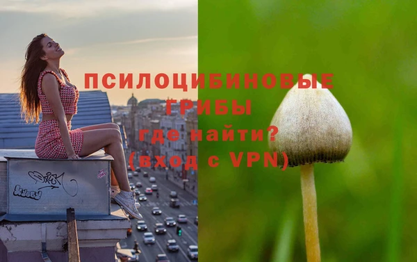 шишки Магадан