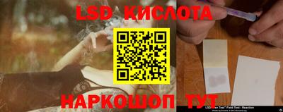 ПСИЛОЦИБИНОВЫЕ ГРИБЫ Кандалакша