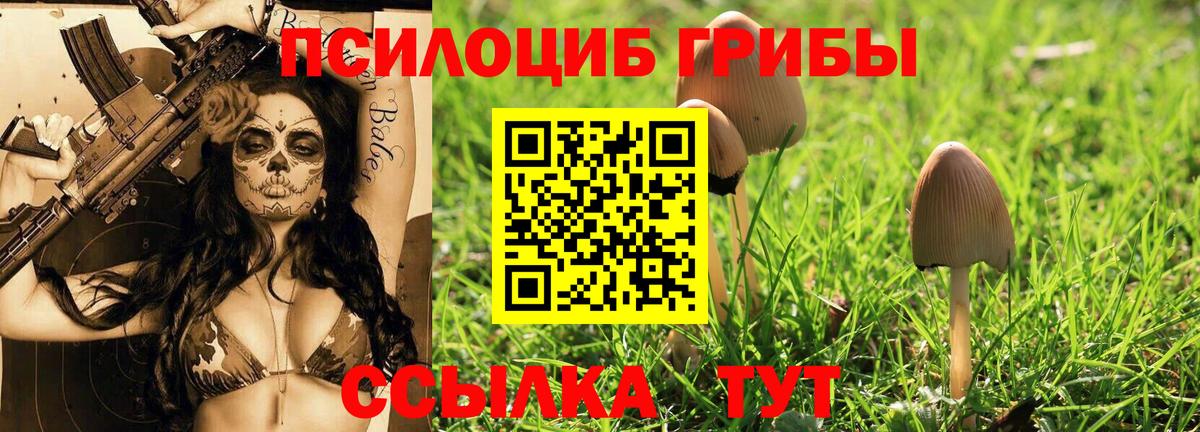 Галлюциногенные грибы прущие грибы  Вход с VPN  Кумертау 